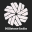 dhvijinternational-com.pages.dev favicon